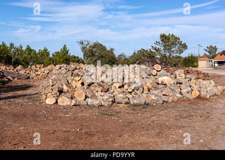 Stücke von Korkeichen, Quercus suber, Haut in der Nähe von Aljezur, Algavre, Portugal Stockfoto