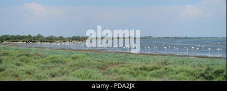 Les Saintes-Maries-de-la-Mer, Camargue, Provence-Alpes-Cote d'Azur, Südfrankreich. Stockfoto