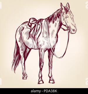 Pferd Hand gezeichnet Vektor llustration Skizze Stock Vektor