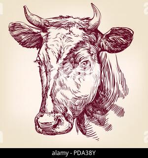 Kuh Hand gezeichnet Vektor llustration Stock Vektor