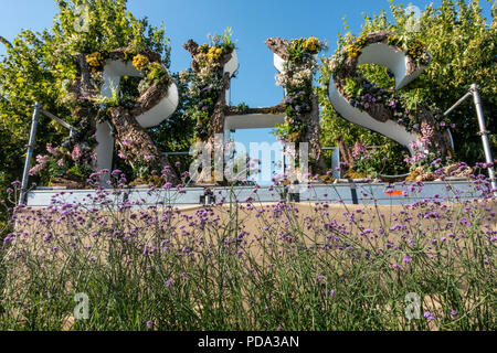 Die Buchstaben RHS, die Initialen der Königlichen Gartenbaugesellschaft mit Pflanzenmaterial auf einem Sockel über eine Masse Anpflanzung von Verbena Bonariensis gefüllt. Stockfoto