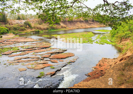 Wasser getrocknet in einem Wald Stockfoto