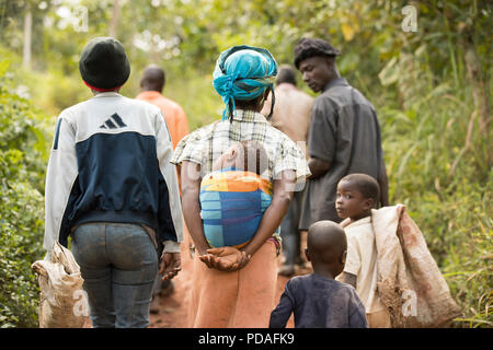 Arbeitnehmer und ihre Kinder Spaziergang durch eine kakaobohne Plantage im ländlichen Bezirk Mukono, Uganda, Ostafrika. Stockfoto