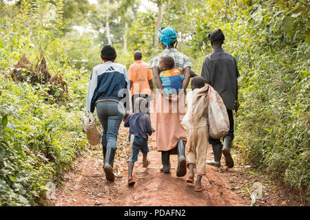 Arbeitnehmer und ihre Kinder Spaziergang durch eine kakaobohne Plantage im ländlichen Bezirk Mukono, Uganda, Ostafrika. Stockfoto