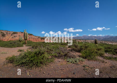 Wüstenhaft Blick auf die Quebrada de Humahuaca - Humahuaca, Jujuy, Argentinien Stockfoto