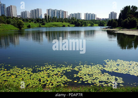 Moskau, Russland - ca. Juli 2018 Ochakovsky Teich Stockfoto