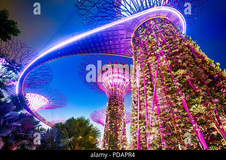 Singapur, Marina Bay, Gärten durch die Bucht, die Supertree Grove Stockfoto