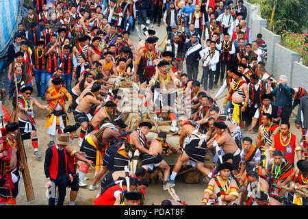 Stein ziehen Zeremonie, während Kisima Nagaland Hornbill Festival, Kohima, Nagaland, Indien Stockfoto