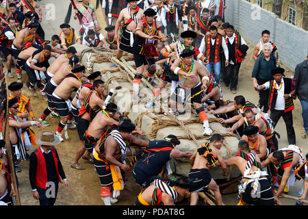 Stein ziehen Zeremonie, während Kisima Nagaland Hornbill Festival, Kohima, Nagaland, Indien Stockfoto