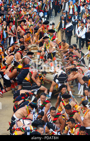 Stein ziehen Zeremonie, während Kisima Nagaland Hornbill Festival, Kohima, Nagaland, Indien Stockfoto