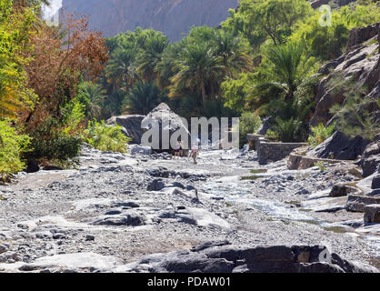 Trek in Wadi Nakhr - Oman Stockfoto