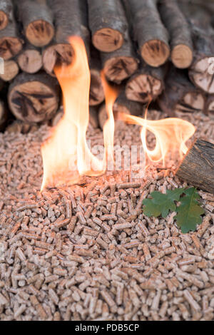 Eiche pellets und Holz in fair - schließen Sie op Stockfoto