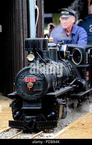 Norton Hill Light Railway in Brecon Stockfoto