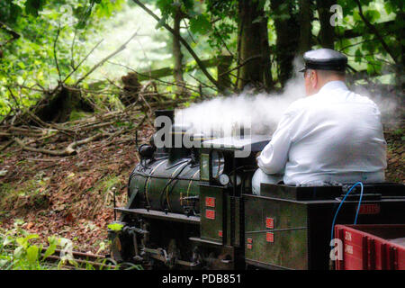 Norton Hill Light Railway in Brecon Stockfoto