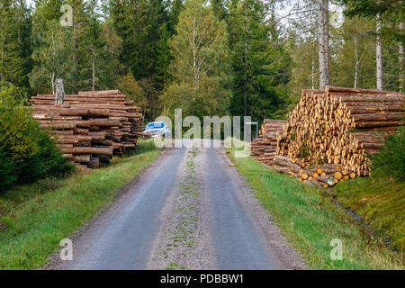 Holz Stapel neben den Weg in den Wald Stockfoto