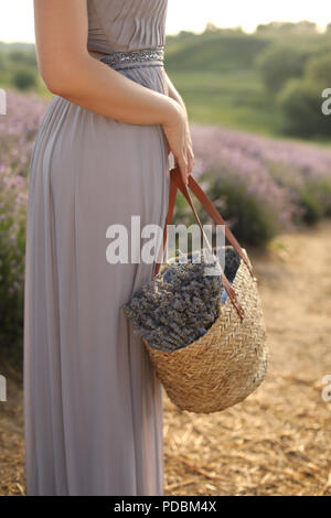 Zugeschnittenes Bild der Frau mit Korb mit Blumen in violett Lavendel Feld Stockfoto