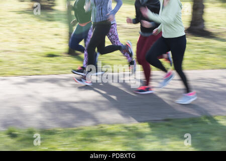 Läufer in Bewegung, laufen im Park Stockfoto