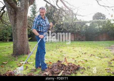 Älterer Mann harken Blätter im Herbst im Hinterhof Stockfoto