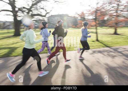 Läuferinnen im sonnigen Park Stockfoto