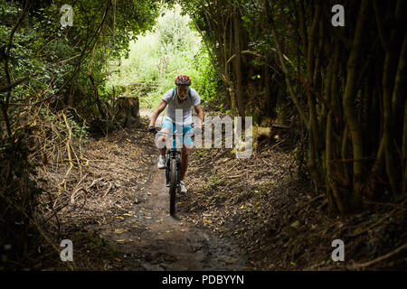 Reifer mann Mountainbiken auf Trail im Wald Stockfoto