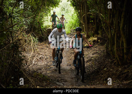 Freunde-Mountainbiken auf Spuren im Wald Stockfoto
