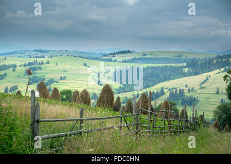 Stapel von Heu auf einer Bergwiese auf einem Hügel. Die schöne Landschaft der bergigen Landschaft auf einem hellen, sonnigen Tag. Karpaten Ukraine Stockfoto