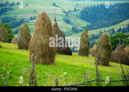 Stapel von Heu auf einer Bergwiese auf einem Hügel. Die schöne Landschaft der bergigen Landschaft auf einem hellen, sonnigen Tag. Karpaten Ukraine Stockfoto