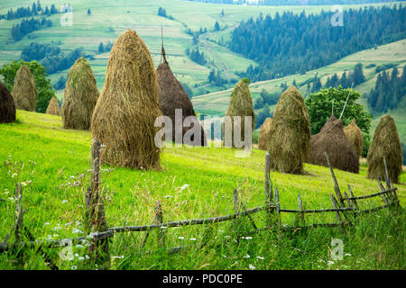 Stapel von Heu auf einer Bergwiese auf einem Hügel. Die schöne Landschaft der bergigen Landschaft auf einem hellen, sonnigen Tag. Karpaten Ukraine Stockfoto