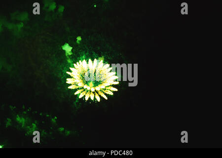 Besten kreativen Hintergrund mit Feuerwerk grün Blumen projiziert auf den Nachthimmel. Bunte fest Feuerwerk im dunklen Hintergrund isoliert. Weihnachten Stockfoto