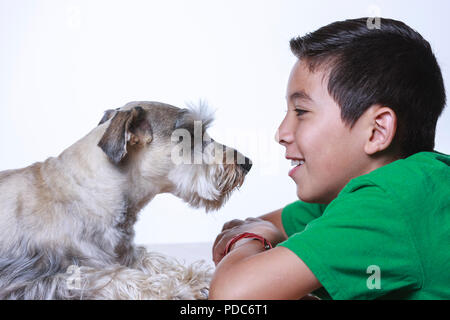 Ein Junge und ein Zwergschnauzer teilen einige kleben zusammen Zeit in diesem Studio Foto. Stockfoto