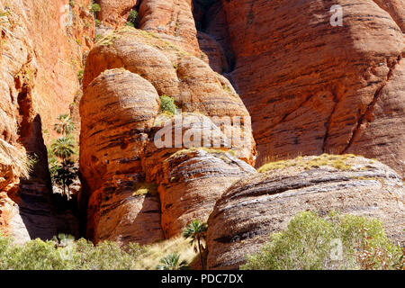 Sandstein Felsformationen, Purnululu National Park, Kimberley, Nordwesten Australien Stockfoto