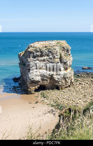 Marsden Rock, Marsden Bay, Küstenstraße, Marsden, South Shields, Tyne und Wear, England, Vereinigtes Königreich Stockfoto