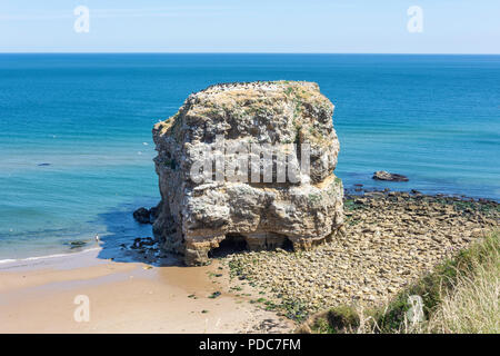 Marsden Rock, Marsden Bay, Küstenstraße, Marsden, South Shields, Tyne und Wear, England, Vereinigtes Königreich Stockfoto