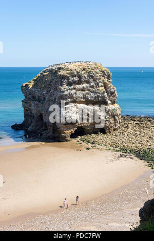 Marsden Rock, Marsden Bay, Küstenstraße, Marsden, South Shields, Tyne und Wear, England, Vereinigtes Königreich Stockfoto