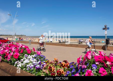 Strandpromenade, Sandhaven Beach, South Shields, Tyne und Wear, England, Vereinigtes Königreich Stockfoto