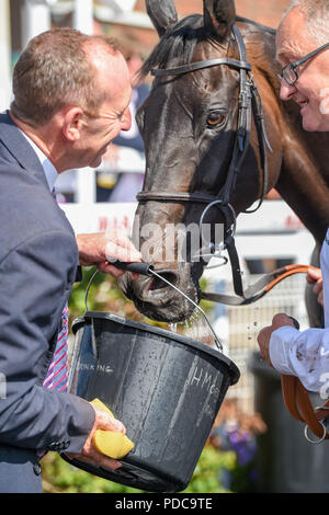 Brighton UK 8. August 2018-Pastorale, bekommt der Spieler einen wohlverdienten Drink nach dem Gewinn der Bombardier Brighton Mile Challenge Trophy im Brighton Rennen Marathonbet Festival der Racing Marstons öffnung Tag: Simon Dack/Alamy leben Nachrichten Stockfoto