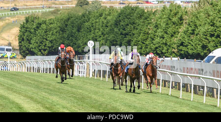 Brighton UK 8. August 2018 - Lokale jockey Jason Watson, seinem zweiten Gewinner des Tages Tinto (2. von rechts) im Download die Marathonbet AppNursery Handicap Stangen bei den Rennen Marathonbet Brighton Festival der Racing Marstons öffnung Tag: Simon Dack/Alamy leben Nachrichten Stockfoto