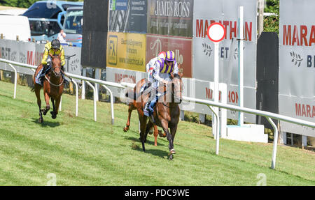 Brighton UK 8. August 2018 - Lokale jockey Jason Watson, seinem zweiten Gewinner des Tages Tinto im Download die Marathonbet AppNursery Handicap Stangen bei den Rennen Marathonbet Brighton Festival der Racing Marstons öffnung Tag: Simon Dack/Alamy leben Nachrichten Stockfoto