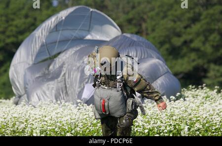 Eine tschechische Fallschirmjäger läuft zum X auf Schloss Drop Zone mit seinem MC-6 Fallschirm während Leapfest 2018 West Kingston, RI., 5. August 2018. Leapfest ist der größte und am längsten bestehende, internationale statische Linie Fallschirm Training und Wettbewerb veranstaltet vom 56. Truppe den Befehl, Rhode-Island Army National Guard hohe technische Ausbildung zu fördern und Korpsgeist innerhalb der internationalen Gemeinschaft in der Luft. (U.S. Armee Foto: Staff Sgt. Austin Berner) Stockfoto