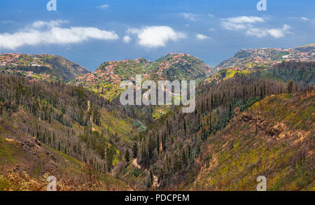 Küsten Berglandschaft der Insel Madeira, im Sommer Tag, Portugal Stockfoto