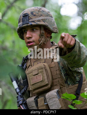 Us Marine Corps Sgt. James Ellis, 3 Truppführer, 3 Bataillon, 23 Marine Regiment, lenkt seine Marines während der Einrichtung ein Hinterhalt im 4. Marine Division Super Squad Wettbewerb im Joint Base Elmendorf-Richardson, Alaska, Aug 4, 2018. Während des Wettbewerbs, Gruppen von 1. und 3 Bataillonen, 23 Marine Regiment und 1 Bataillon, 24 Marine Regiment, übte ihre technischen und taktischen Fertigkeiten durch konkurrierende in Veranstaltungen, offensive/defensive Operationen hervorgehoben, patrouillieren Techniken, die Bekämpfung der Treffsicherheit, körperliche Ausdauer und kleine Einheit leadersh Stockfoto