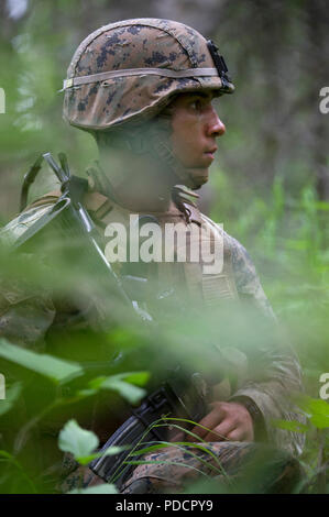 Us Marine Corps Sgt. James Ellis, 3 Truppführer, 3 Bataillon, 23 Marine Regiment, Umfragen, seine Umgebung, während Sie darauf warten, eine gegnerische Mannschaft während der 4. Marine Division Super Squad Wettbewerb im Joint Base Elmendorf-Richardson, Alaska, Aug 4, 2018 Hinterhalt. Während des Wettbewerbs, Gruppen von 1. und 3 Bataillonen, 23 Marine Regiment und 1 Bataillon, 24 Marine Regiment, übte ihre technischen und taktischen Fertigkeiten durch konkurrierende in Veranstaltungen, offensive/defensive Operationen hervorgehoben, patrouillieren Techniken, die Bekämpfung der Treffsicherheit, körperliche Ausdauer und Stockfoto