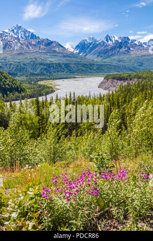 Matanuska River entlang der Glenn Highway zwischen Anchorage und Glennallen in Alaska Stockfoto