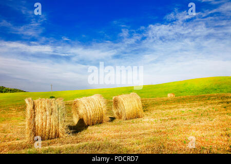 Beeindruckende Landschaft der Toskana, mit Rollen und Felder, Val d'Orcia, Pienza, Italien. Stockfoto