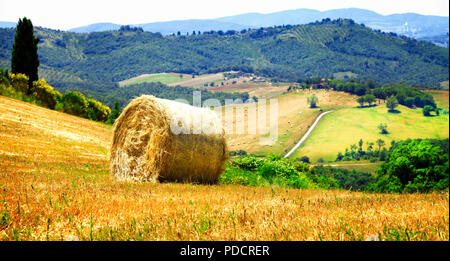 Beeindruckende Landschaft der Toskana, mit Rollen und Felder, Val d'Orcia, Pienza, Italien. Stockfoto