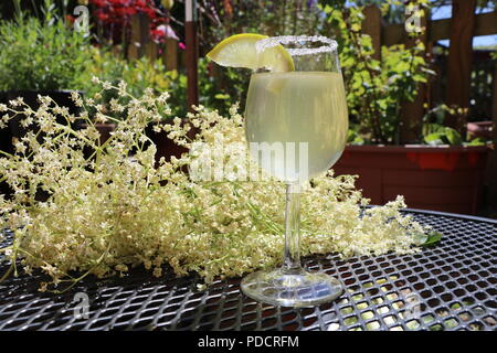 Elderflowers mit holunderblüten herzlichen Cocktail im Sommer Englischer Garten, Glas Holunderblüten herzlichen Soft Drink mit Zucker Felge und Scheibe der Zitrone. Stockfoto