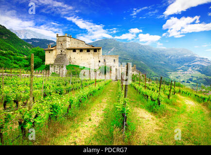 Beeindruckende Weinberge und alte Burg, Toskana, Italien. Stockfoto