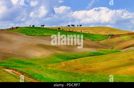 Beeindruckende Herbst Landschaft, Val d'Orcia, Toskana, Italien. Stockfoto