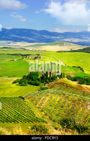 Beeindruckende Landschaft der Toskana, Panoramaaussicht, in der Val d'Orcia, Italien. Stockfoto