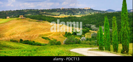 Beeindruckende Herbst Landschaft, mit Zypressen und Felder, Val d'Orcia, Toskana, Italien. Stockfoto